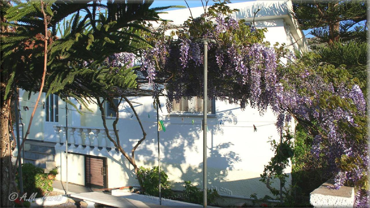 Ampelos Apartment And Studios Xerokampos  Exterior foto